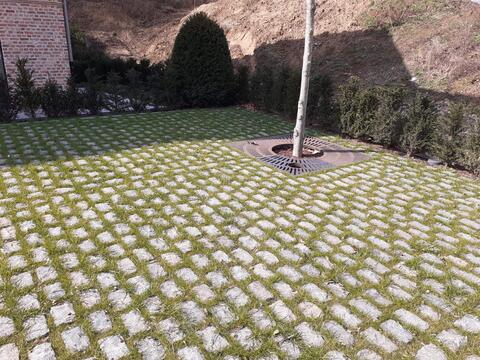 Groene voegen de oplossing voor groen tussen verharding