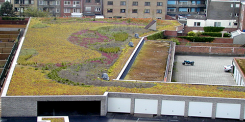 Daktuin Blankenberge