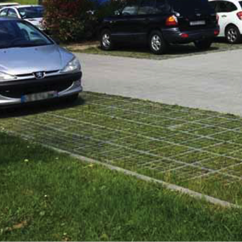 Phytoparking